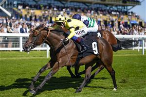 NEWBURY, ENGLAND - SEPTEMBER 17: David Egan riding Exoplanet win The RacingTV EBF Novice Stakes (GBB Race) (Div 1) at Newbury Racecourse on September 17, 2022 in Newbury, England. (Photo by Alan Crowhurst/Getty Images)