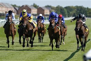 NEWBURY, ENGLAND - SEPTEMBER 17: David Egan riding Stay Alert (yellow, blue cap) win The Dubai Duty Free Legacy Cup Stakes at Newbury Racecourse on September 17, 2022 in Newbury, England. (Photo by Alan Crowhurst/Getty Images)