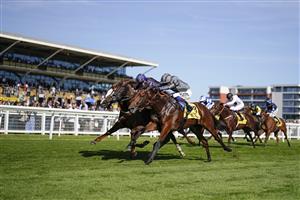 NEWBURY, ENGLAND - SEPTEMBER 17: David Egan riding Mitbaahy (grey) win The Dubai International Airport World Trophy Stakes at Newbury Racecourse on September 17, 2022 in Newbury, England. (Photo by Alan Crowhurst/Getty Images)