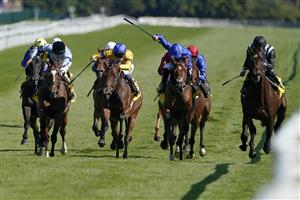 NEWBURY, ENGLAND - SEPTEMBER 17: David Egan riding Stay Alert (yellow, blue cap) win The Dubai Duty Free Legacy Cup Stakes at Newbury Racecourse on September 17, 2022 in Newbury, England. (Photo by Alan Crowhurst/Getty Images)