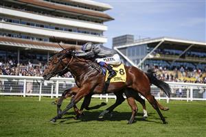 NEWBURY, ENGLAND - SEPTEMBER 17: David Egan riding Mitbaahy (grey) win The Dubai International Airport World Trophy Stakes at Newbury Racecourse on September 17, 2022 in Newbury, England. (Photo by Alan Crowhurst/Getty Images)