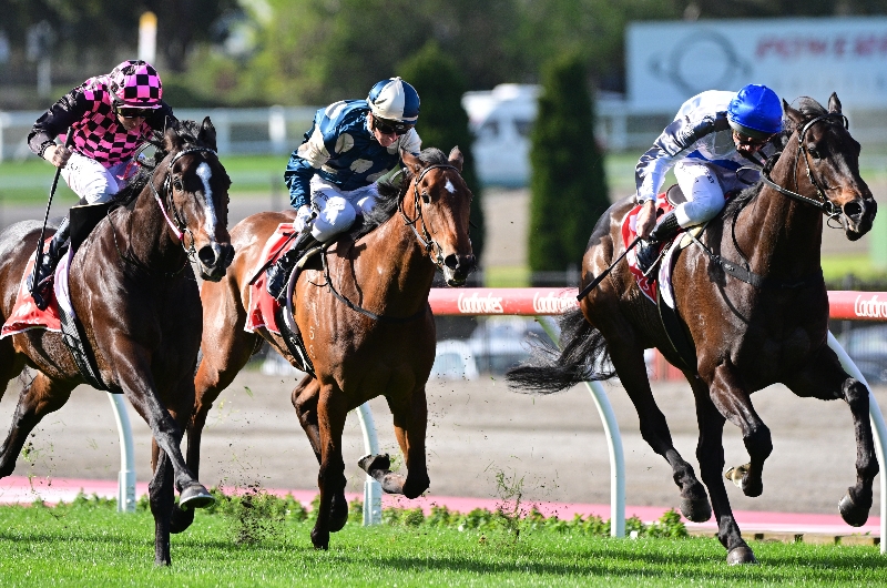 Moir Stakes Tips