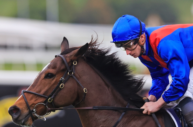 Underwood Stakes Tips