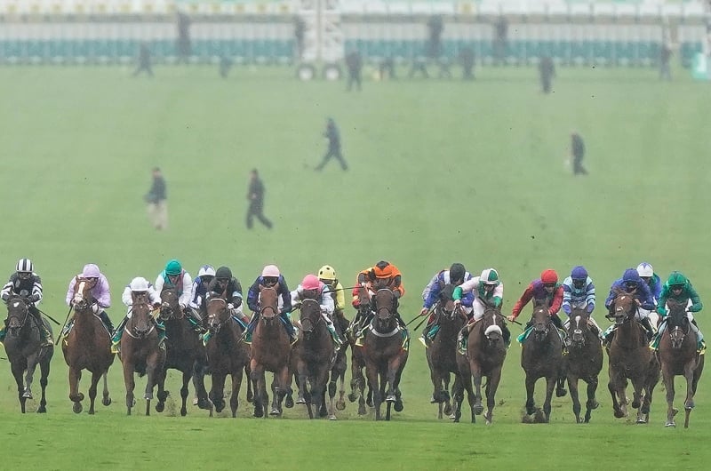 cambridgeshire handicap newmarket