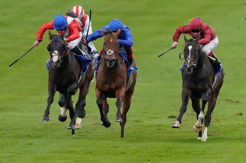 joel stakes