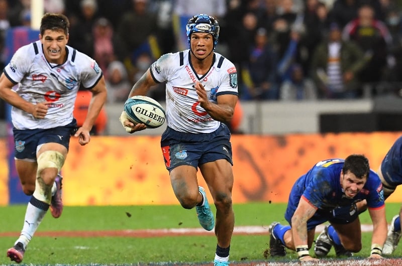 Bulls Rugby