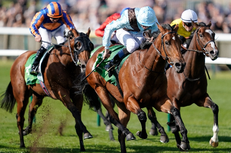 cheveley park stakes newmarket