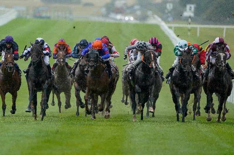 2022 Goffs Million Tips Curragh tips on September 24
