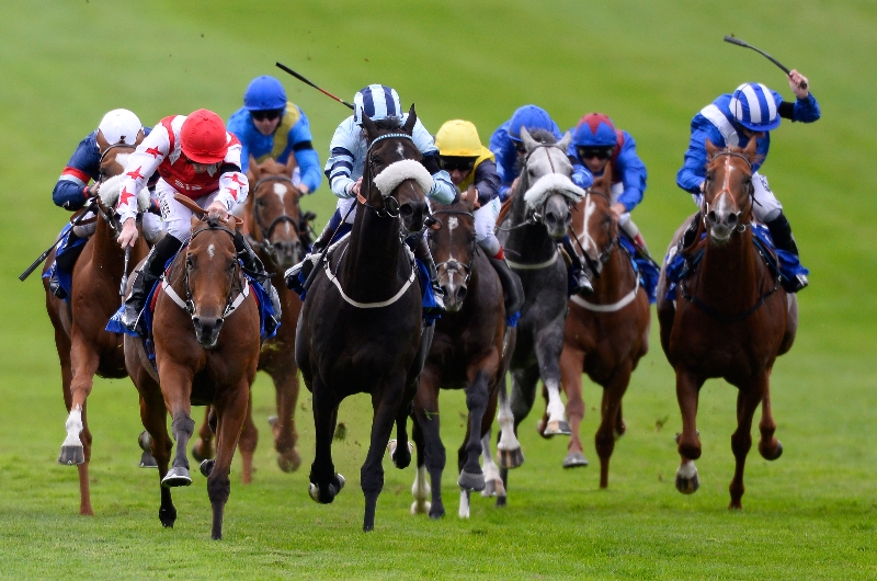 joel stakes newmarket