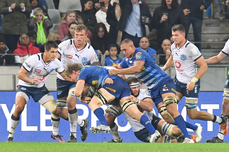 stormers rugby