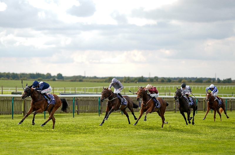 newmarket