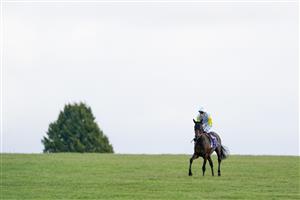 NEWMARKET, ENGLAND - SEPTEMBER 23: David Egan riding Kolsai return after winning The Al Basti Equiworld, Dubai British EBF 'Confined' Maiden Stakes at Newmarket Racecourse on September 23, 2022 in Newmarket, England. (Photo by Alan Crowhurst/Getty Images)