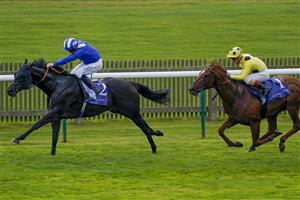 NEWMARKET, ENGLAND - SEPTEMBER 23: Jim Crowley riding Mutasaabeq win The Al Basti Equiworld, Dubai Joel Stakes at Newmarket Racecourse on September 23, 2022 in Newmarket, England. (Photo by Alan Crowhurst/Getty Images)