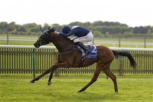 NEWMARKET, ENGLAND - SEPTEMBER 23: Robert Havlin riding Commissioning win The Al Basti Equiworld, Dubai Rockfel Stakes at Newmarket Racecourse on September 23, 2022 in Newmarket, England. (Photo by Alan Crowhurst/Getty Images)