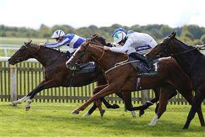 NEWMARKET, ENGLAND - SEPTEMBER 24: David Probert riding The Foxes (L) win The Juddmonte Royal Lodge Stakes at Newmarket Racecourse on September 24, 2022 in Newmarket, England. (Photo by Alan Crowhurst/Getty Images)