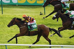 NEWMARKET, ENGLAND - SEPTEMBER 24: Aidan Keeley riding Majestic win The bet365 Cambridgeshire Handicap at Newmarket Racecourse on September 24, 2022 in Newmarket, England. (Photo by Alan Crowhurst/Getty Images)