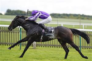 NEWMARKET, ENGLAND - SEPTEMBER 24: Ryan Moore riding Blackbeard win The Juddmonte Middle Park Stakes at Newmarket Racecourse on September 24, 2022 in Newmarket, England. (Photo by Alan Crowhurst/Getty Images)