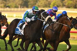 Toorak Handicap Betting Odds - I Wish I Win the clear favourite