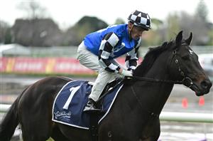 Turnbull Stakes Betting Odds - Equal market favourites