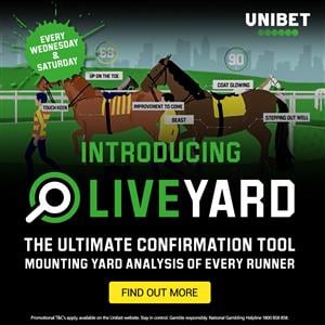 Unibet Live Casino Interface