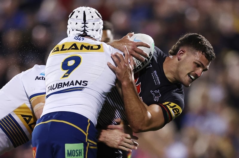 panthers eels