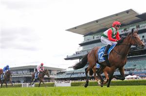 Flight Stakes Barriers