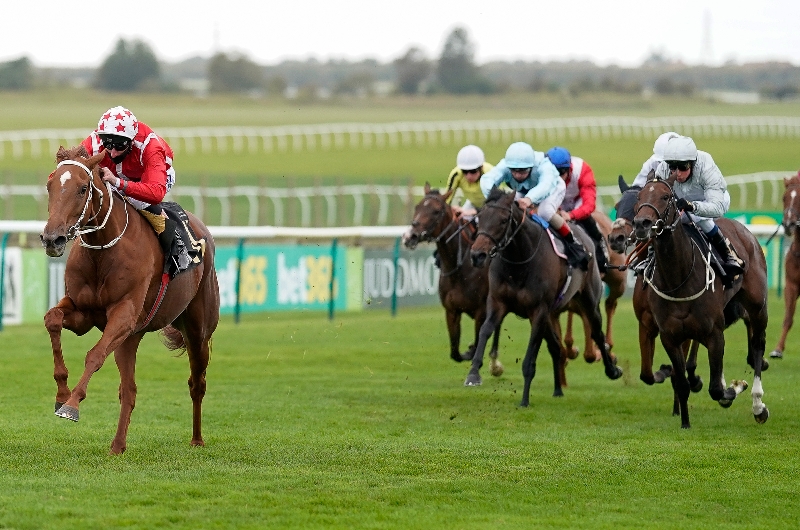 2022 Sun Chariot Stakes Tips - Will Saffron Beach reign supreme again at Newmarket?