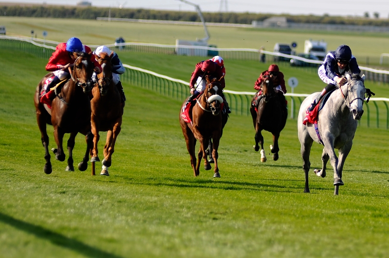 sun chariot stakes