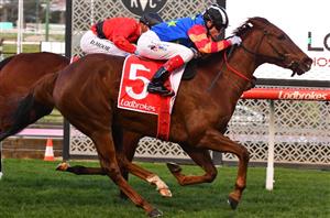 Manikato Stakes Betting Odds - Paulele favoured to win