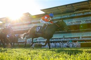 Epsom Handicap Tips & Runner-by-Runner Preview