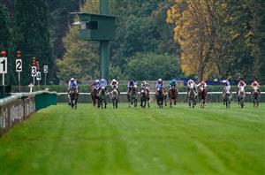 Longchamp Tips - Best bets on Prix du Cadran day