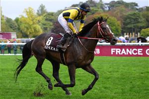 Jockey Christophe Patrice Lemaire riding on "Stay foolish" competes in The Prix de l
