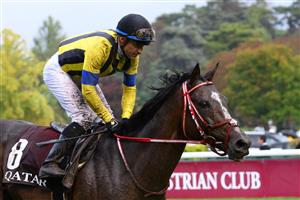 Jockey Christophe Patrice Lemaire riding on "Stay foolish" is seen after The Prix de l