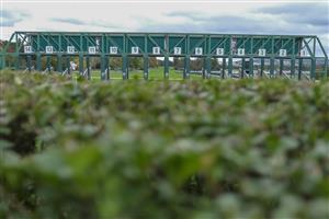 PARIS, FRANCE - OCTOBER 02: A general view of starting stalls at Hippodrome de ParisLongchamp on October 02, 2022 in Paris, France. (Photo by Alan Crowhurst/Getty Images)