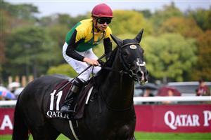Japanese jockey Kazuo Yokoyama riding "Titleholder" is seen after The Prix de l
