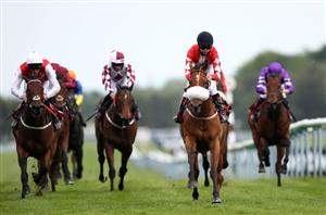 Longchamp Market Movers - Five horses making waves on Arc day