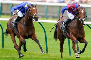 Newspaper Racing Tips - Tenebrism the tipster's NAP on Arc day