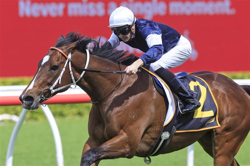 SYDNEY, AUSTRALIA - OCTOBER 01: Dylan Gibbons on Hosier wins race 3 the Schweppes Handicap during Sydney Racing at Royal Randwick Racecourse on October 01, 2022 in Sydney, Australia. (Photo by Mark Evans/Getty Images)