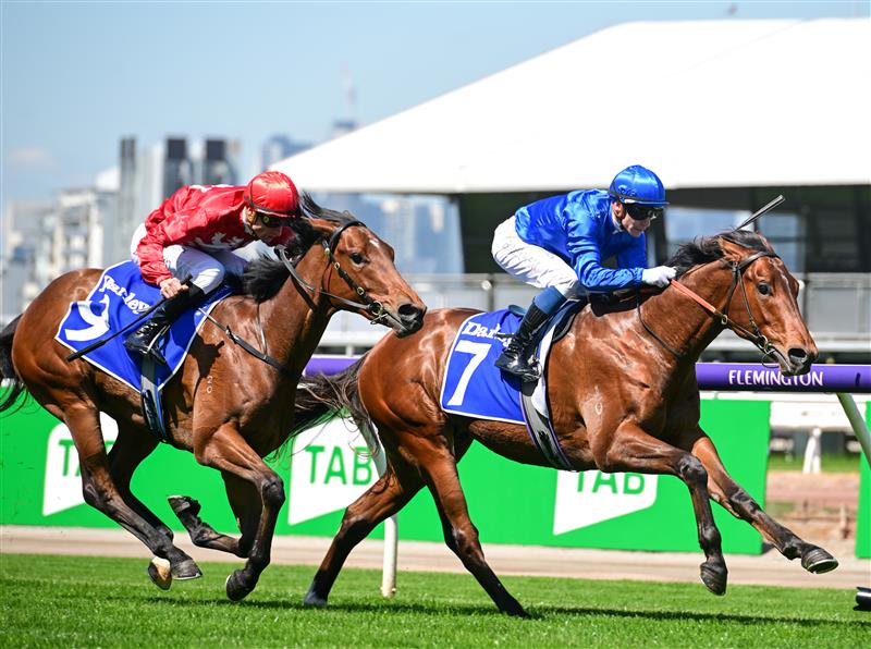 MELBOURNE, AUSTRALIA - OCTOBER 01: Ben Melham riding Zulfiqar defeats Blake Shinn riding Aditi i Race 1, the Darley Maribyrnong Trial Stakes, during Turnbull Stakes Day at Flemington Racecourse on October 01, 2022 in Melbourne, Australia. (Photo by Vince Caligiuri/Getty Images)