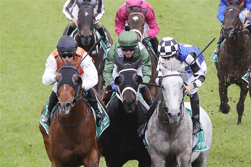 SYDNEY, AUSTRALIA - OCTOBER 01: Hugh Bowman on Top Ranked (grey horse) and Brenton Avdulla (orange) on Ellsberg are declared a dead heat in race 8 the Tab Epsom during Sydney Racing at Royal Randwick Racecourse on October 01, 2022 in Sydney, Australia. (Photo by Jenny Evans/Getty Images)