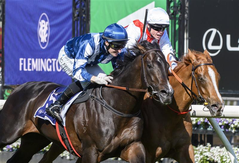 MELBOURNE, AUSTRALIA - OCTOBER 01: Craig Williams riding Giga Kick (r) winning Race 5, the Hq Tavern Danehill Stakes, during Turnbull Stakes Day at Flemington Racecourse on October 01, 2022 in Melbourne, Australia. (Photo by Vince Caligiuri/Getty Images)