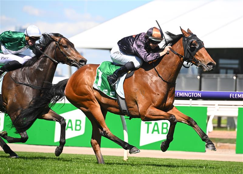 MELBOURNE, AUSTRALIA - OCTOBER 01: Damian Lane riding She's Licketysplit to win race 3, the TAB Edward Manifold Stakes, during Turnbull Stakes Day at Flemington Racecourse on October 01, 2022 in Melbourne, Australia. (Getty)
