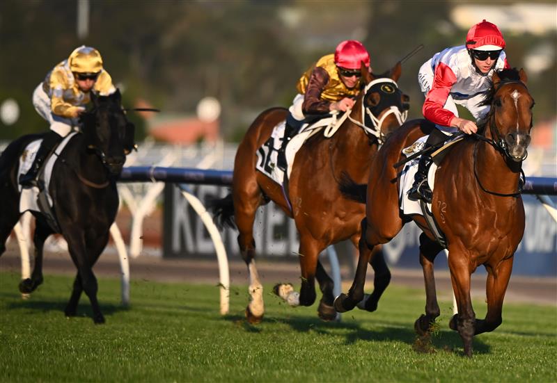 MELBOURNE, AUSTRALIA - OCTOBER 01: Damian Lane riding Mr Maestro winning Race 9, the Abc Bullion Super Impose Stakes, during Turnbull Stakes Day at Flemington Racecourse on October 01, 2022 in Melbourne, Australia. (Photo by Vince Caligiuri/Getty Images)