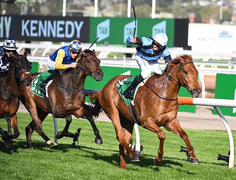 MELBOURNE, AUSTRALIA - OCTOBER 01: Ethan Brown riding Smokin' Romans after winning race 7, the TAB Turnbull Stakes, during Turnbull Stakes Day at Flemington Racecourse on October 01, 2022 in Melbourne, Australia. (Getty)