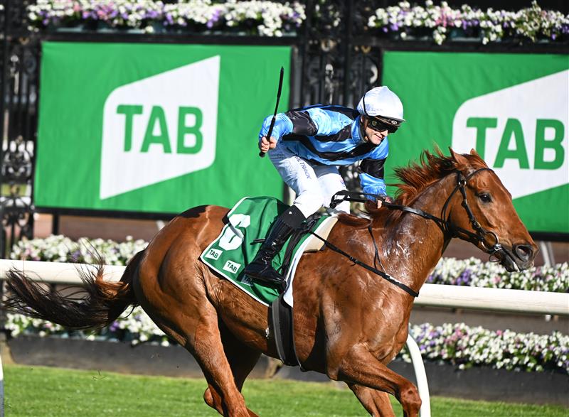 MELBOURNE, AUSTRALIA - OCTOBER 01: Ethan Brown riding Smokin' Romans after winning race 7, the TAB Turnbull Stakes, during Turnbull Stakes Day at Flemington Racecourse on October 01, 2022 in Melbourne, Australia. (Getty)
