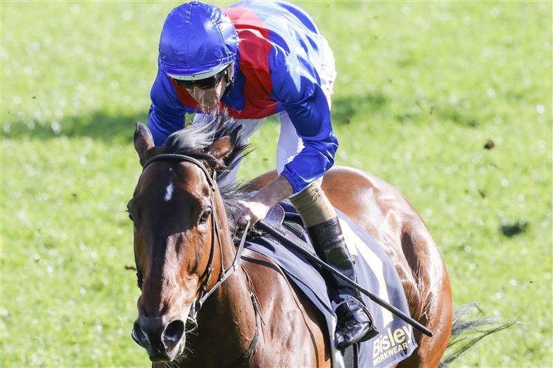 SYDNEY, AUSTRALIA - OCTOBER 01: Hugh Bowman on Lost And Running wins race 7 the Bisley Workwear Premiere Stakes during Sydney Racing at Royal Randwick Racecourse on October 01, 2022 in Sydney, Australia. (Photo by Jenny Evans/Getty Images)