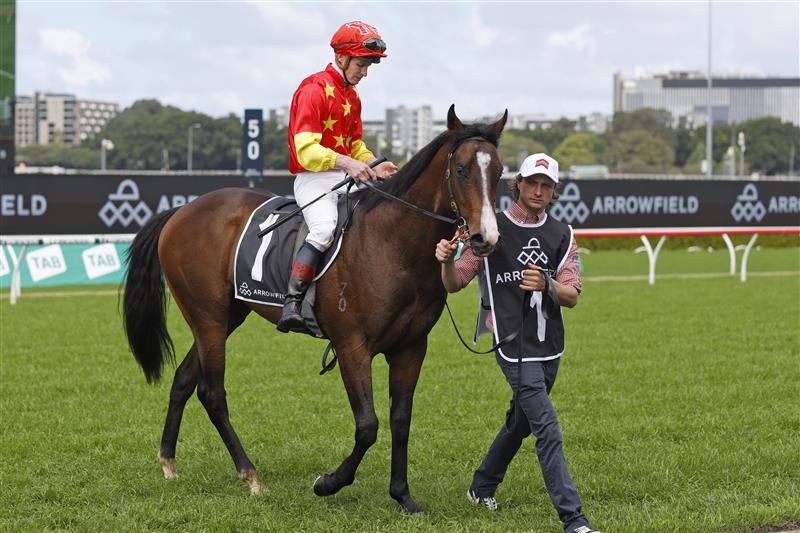 SYDNEY, AUSTRALIA - OCTOBER 01: James McDonald on Empire of Japan returns to scale after winning race 1 the Arrowfield Breeders’ Plate during Sydney Racing at Royal Randwick Racecourse on October 01, 2022 in Sydney, Australia. (Photo by Mark Evans/Getty Images)
