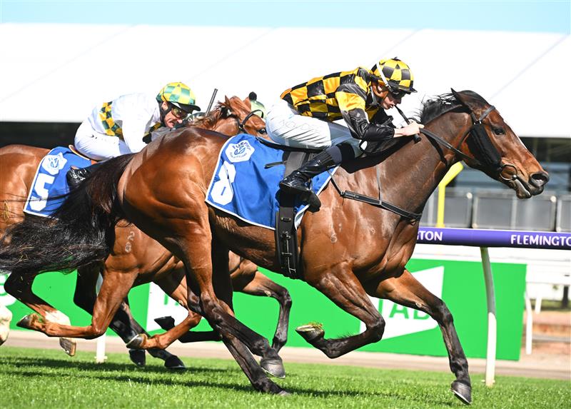 MELBOURNE, AUSTRALIA - OCTOBER 01: Michael Dee riding Excelida winning Race 4, the Furphy Rose Of Kingston Stakes, during Turnbull Stakes Day at Flemington Racecourse on October 01, 2022 in Melbourne, Australia. (Photo by Vince Caligiuri/Getty Images)
