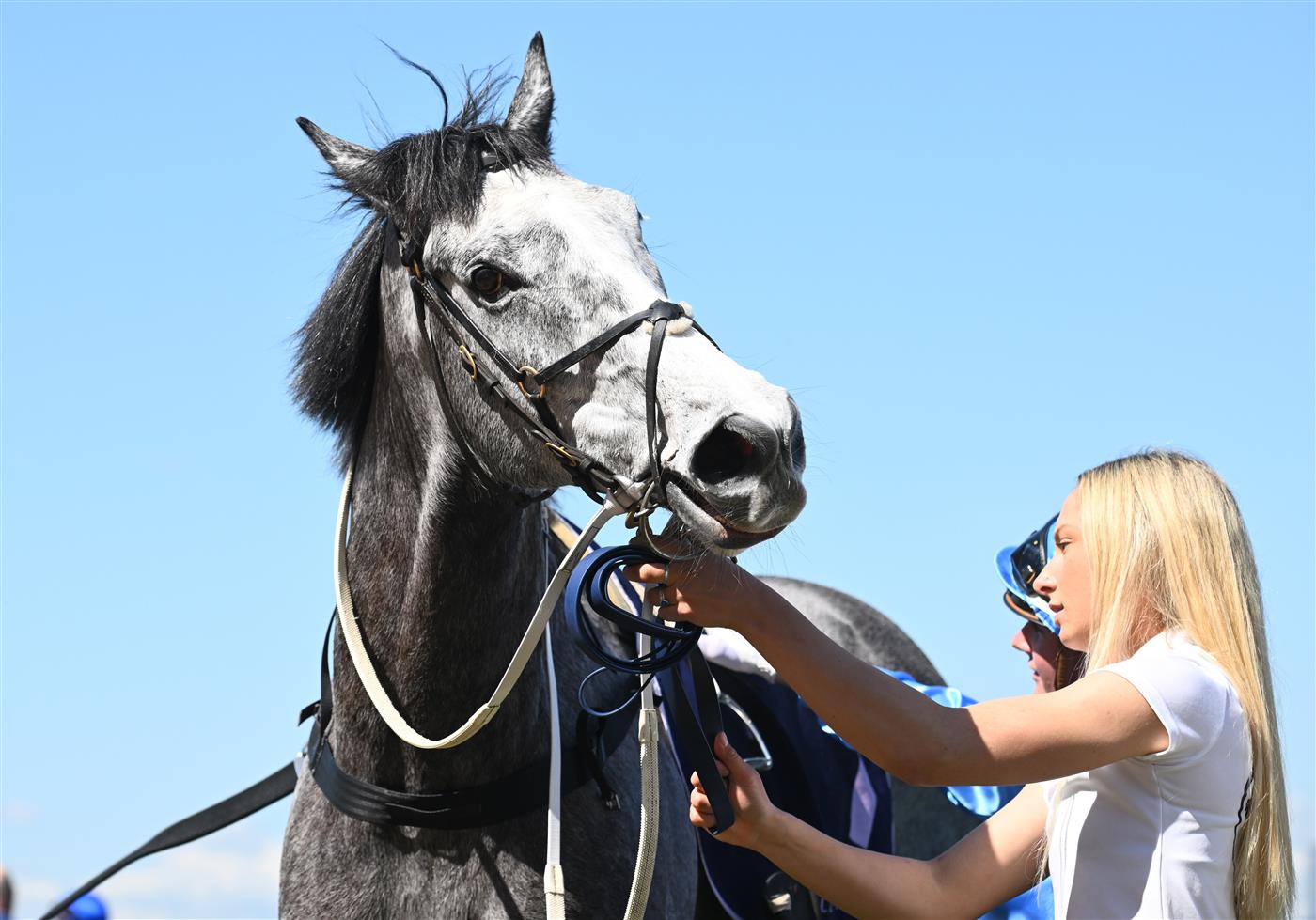 MELBOURNE, AUSTRALIA - OCTOBER 01: Visinari after winning Race 2, the Katherine Bourke Paris Lane Stakes, during Turnbull Stakes Day at Flemington Racecourse on October 01, 2022 in Melbourne, Australia. (Photo by Vince Caligiuri/Getty Images)
