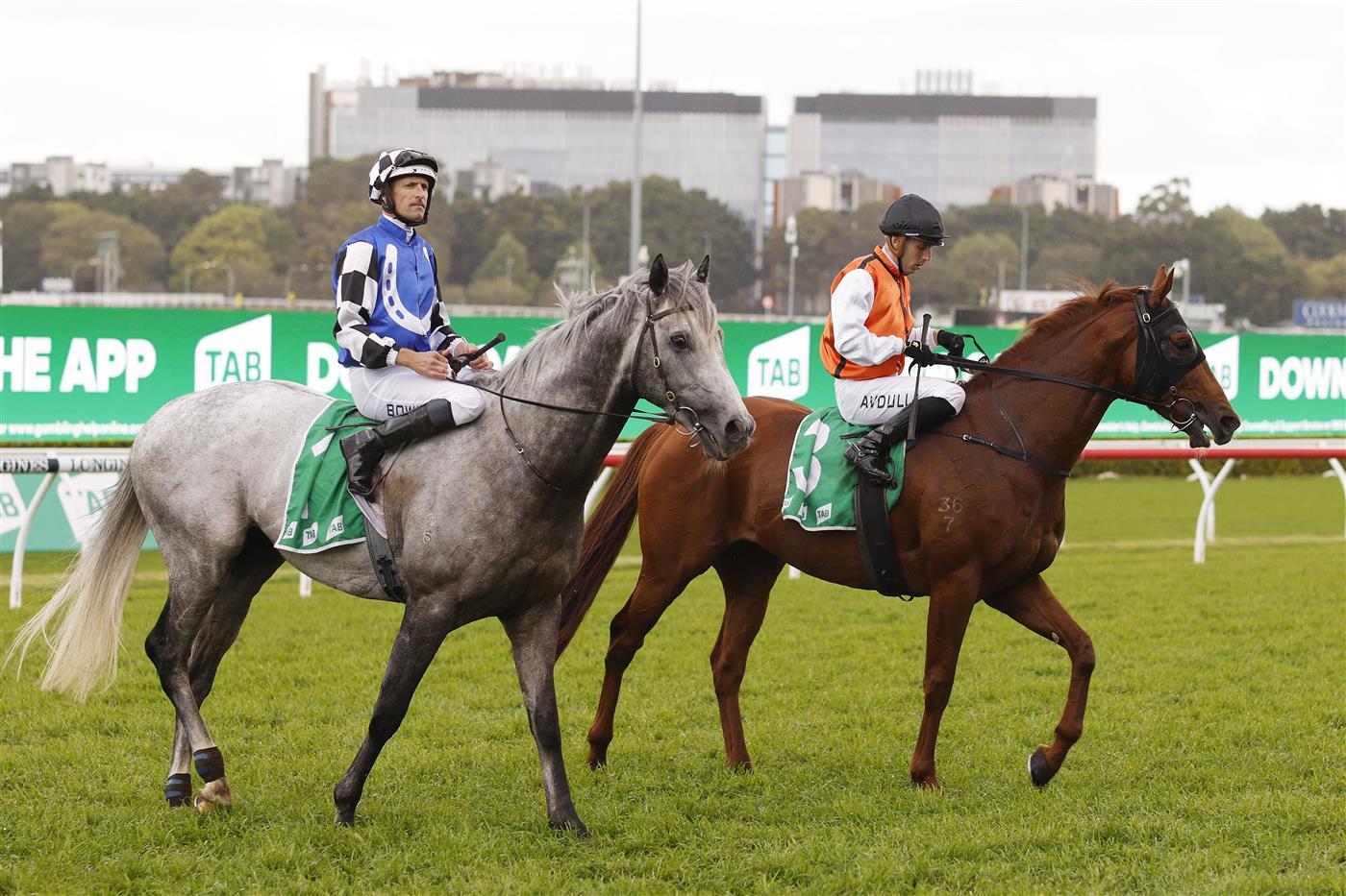 SYDNEY, AUSTRALIA - OCTOBER 01: Brenton Avdulla on Ellsberg and Hugh Bowman on Top Ranked return to scale after finishing in a dead heat in race 8 the TAB Epsom during Sydney Racing at Royal Randwick Racecourse on October 01, 2022 in Sydney, Australia. (Photo by Mark Evans/Getty Images)
